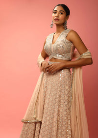 Rose Dust Lehenga Choli In Georgette With Sequins Embroidered Jaal And Mirror Border
