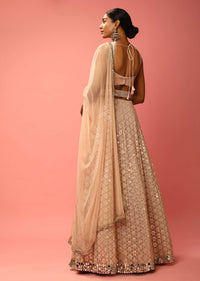 Rose Dust Lehenga Choli In Georgette With Sequins Embroidered Jaal And Mirror Border