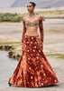 Rust Embroidered Velvet Lehenga And Blouse With Dupatta