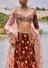Rust Embroidered Velvet Lehenga And Blouse With Dupatta