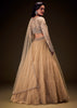 Sand Beige Net Hand Embroidered Pearl Work Lehenga Set