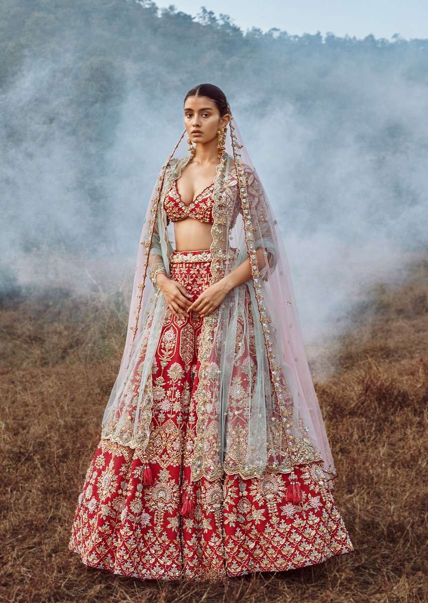 Scarlet Red Lehenga Choli In Raw Silk With 3D Flowers And Cut Dana Embroidered Summertime Flowers And Geometric Motifs