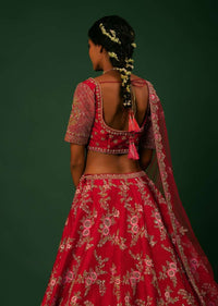 Scarlet Red Lehenga Choli In Raw Silk With Golden Zari Embroidered Heavy Mughal Border And Floral Jaal With Colorful Resham Flowers