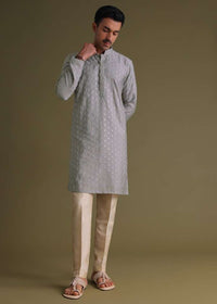 Cloud Grey Thread-Embroidered Festive Kurta Set In Silk With Motif Work