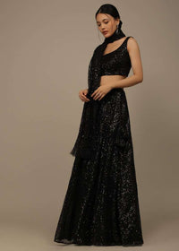 Black Festive Sequins Embroidered Lehenga Set In Raschel Net Fabric
