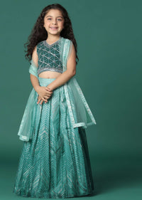 Sea Green Ombre Embroidered Lehenga And Blouse Set In Organza