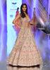 Charm Pink Rumi Lehenga Set In 3D Flower Motifs And Abla Embroidery, Crop Top Comes With The Similar Embroidery