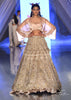 Oyster Lehenga With An Organza Cape Top And Cut Dana Handwork On The Lehenga