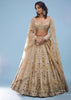 Bridal Khwabeeda Beige White Lehenga Set In Foil Organza With 3D Embroidery - NOOR 2022