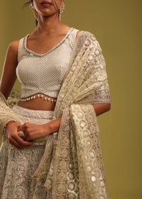 Ivory White Georgette Lehenga Set With Intricate Lucknowi Embroidery