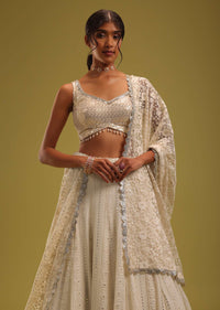 Ivory White Lehenga Set With Intricate Lucknowi Embroidery