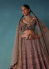 Petal Pink Bridal Lehenga And Blouse Set With 3D Embroidery