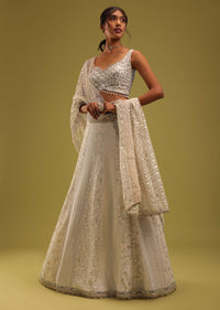 Ivory White Zari Embroidered Lehenga And Blouse Set In Georgette