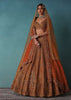 Brown Raw Silk Bridal Lehenga Set With Hand Embroidery