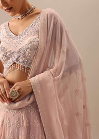 Peach Lucknowi Lehenga Set with Sequin Work