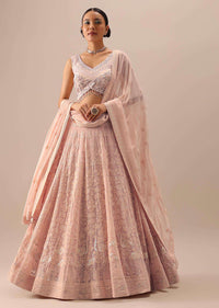 Peach Lucknowi Lehenga Set with Sequin Work