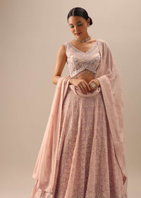 Peach Lucknowi Lehenga Set with Sequin Work