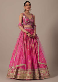 Pink Net Hand Embroidered Lehenga Set