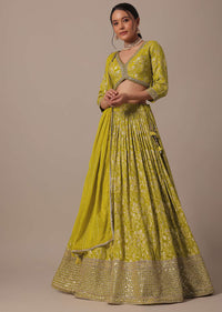 Green Chanderi Lehenga Set