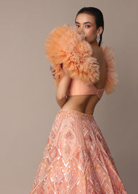 Peach Organza Embroidered Lehenga Set With Floral Ruffle Blouse