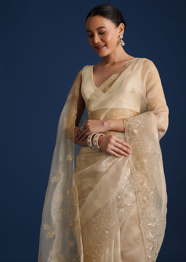 Light Gold Glass Tissue Saree With Pitta Work