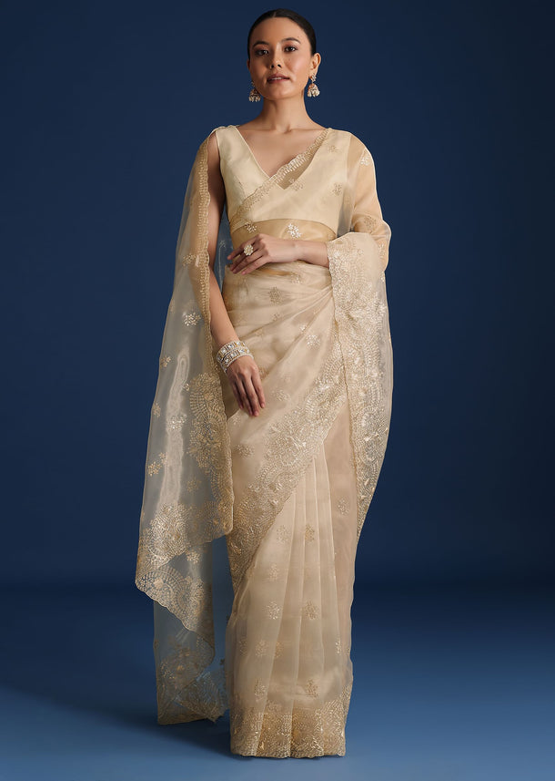 Light Gold Glass Tissue Saree With Pitta Work