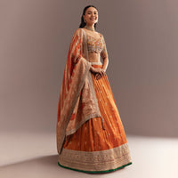 Orange Tissue Butti Embroidered Lehenga Choli And Woven Dupatta