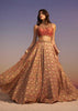 Brown Embroidered Blouse With Double Circular Lehenga And Tasseled Dupatta