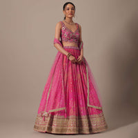 Pink Net Hand Embroidered Lehenga Set