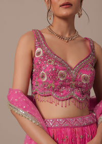 Pink Net Hand Embroidered Lehenga Set