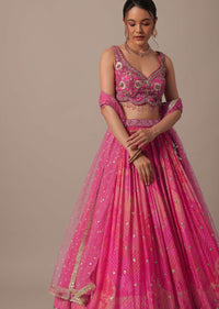 Pink Net Hand Embroidered Lehenga Set