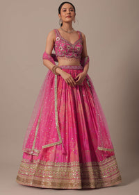Pink Net Hand Embroidered Lehenga Set