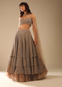 Taupe Layered Sequins Lehenga With Net Frill On The Hem And Cut Dana Embroidered Choli And Choker Dupatta