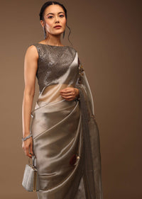 Silver And Cedar Brown Saree In Tissue Organza With Multi Colored Sequins Embroidered Motifs