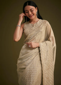 Silver Beige Tissue Sequins Saree With Cutdana Detailing