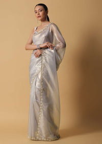 Silver Grey Foil Saree In Tissue With Cut Dana Embroidered Borders