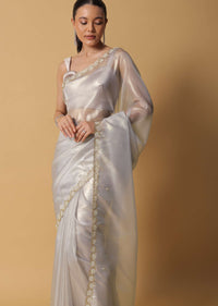 Silver Grey Foil Saree In Tissue With Cut Dana Embroidered Borders