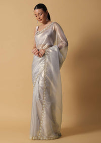 Silver Grey Foil Saree In Tissue With Cut Dana Embroidered Borders