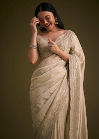 Silver Tissue Saree With Embroidered Border