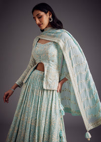 Sky Blue Lucknowi Work Lehenga Set