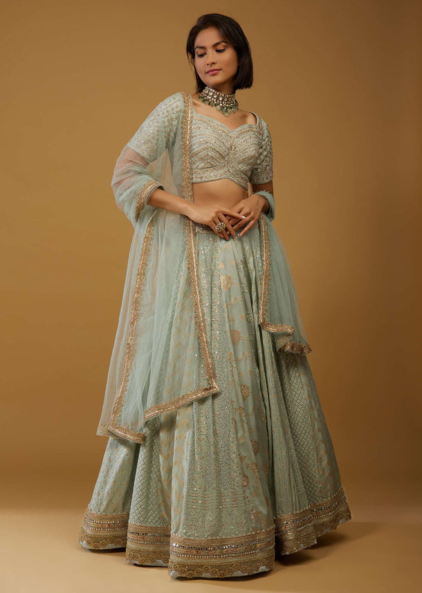 Powder Green Lehenga Choli In Silk With Brocade And Lucknowi Kali Design