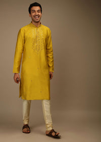 Sulphur Yellow Kurta Set In Silk With Resham And Mirror Abla Embroidered Yoke Design