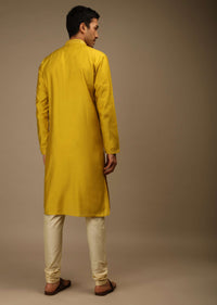 Sulphur Yellow Kurta Set In Silk With Resham And Mirror Abla Embroidered Yoke Design