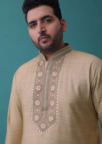 Tan Brown Thread Embroidered Kurta Set In Silk