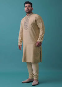 Tan Brown Thread Embroidered Kurta Set In Silk