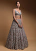 Taupe Grey Lehenga Choli In Net Elaborately Hand Embellished With Cut Dana Work In Geometric Pattern