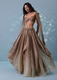 Taupe Brown Embroidered Cowl Lehenga And Cape Blouse In Shimmer Organza