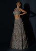 Taupe Grey Lehenga Choli In Net Elaborately Hand Embellished With Cut Dana Work In Geometric Pattern