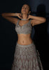 Taupe Grey Lehenga Choli In Net Elaborately Hand Embellished With Cut Dana Work In Geometric Pattern