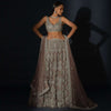 Taupe Grey Lehenga Choli In Net Elaborately Hand Embellished With Cut Dana Work In Geometric Pattern